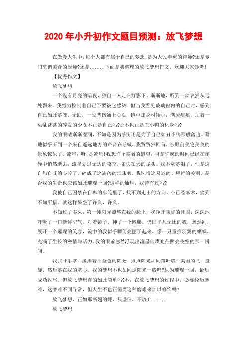 2020年小升初作文题目预测：放飞梦想