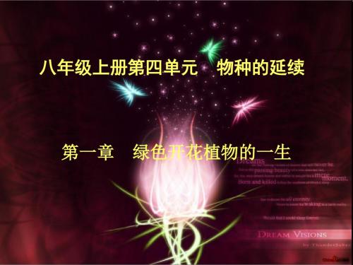 绿色开花植物的一生 PPT课件 济南版