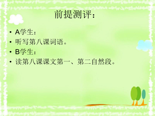 第八课蚂蚁