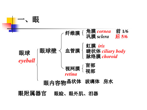 第9章眼和耳ppt课件