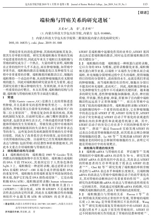端粒酶与胃癌关系的研究进展