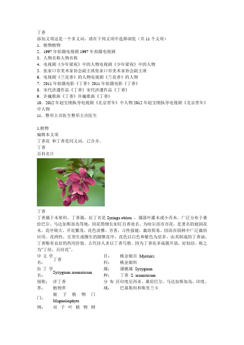 丁香