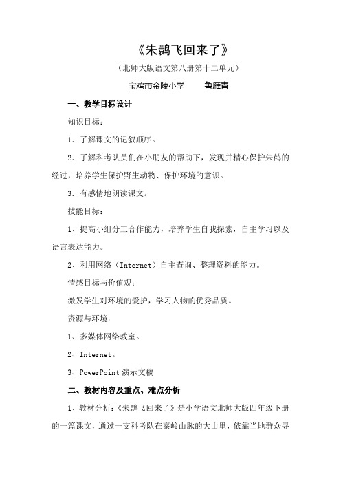 朱huan飞回来了教案