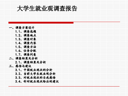 大学生就业观调查PPT课件
