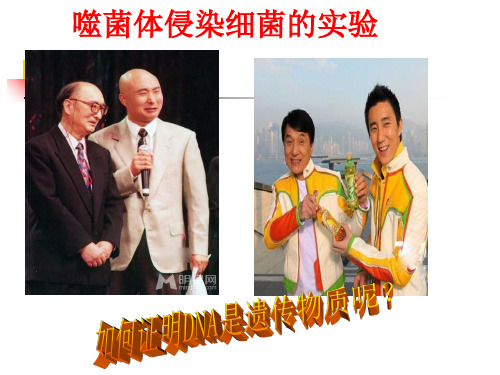 噬菌体侵染细菌的实验