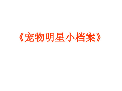 宠物明星小档案汇总.