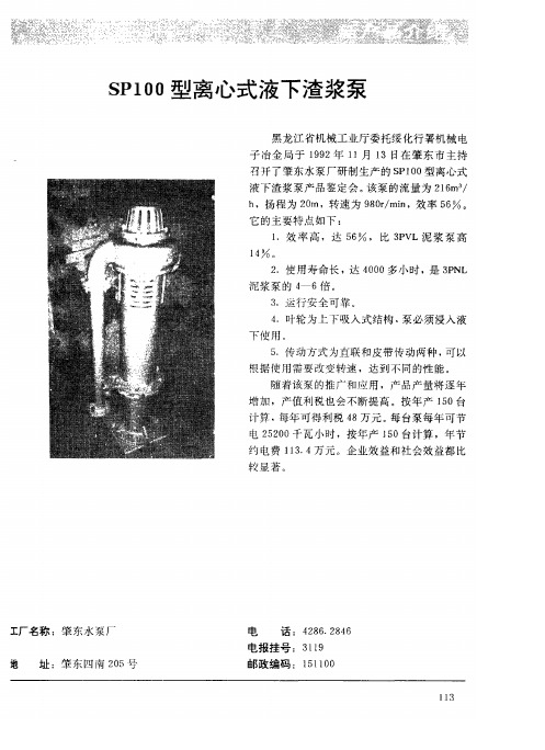 SP100型离心式液下渣浆泵