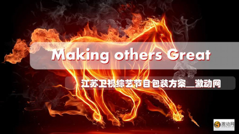 江苏卫视综艺节目包装方案..