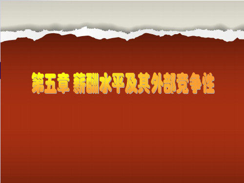 薪酬管理第五章