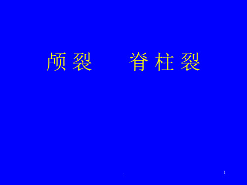 脑脊膜膨出PPT课件