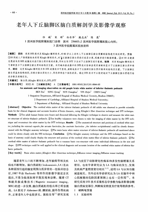 老年人下丘脑脚区脑白质解剖学及影像学观察