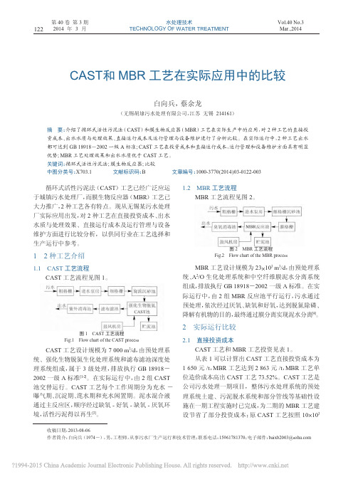 CAST和MBR工艺在实际应用中的比较_白向兵