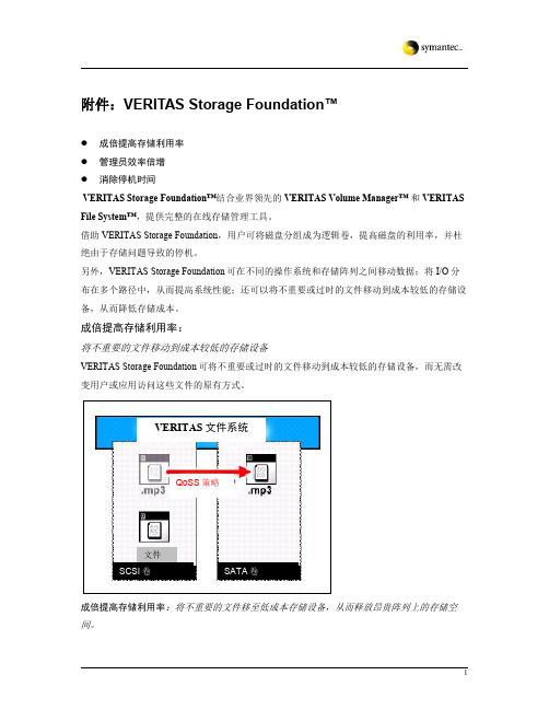 STORAGE FOUNDATION功能说明