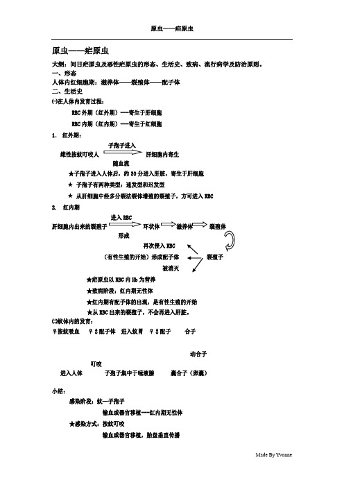 原虫——疟原虫