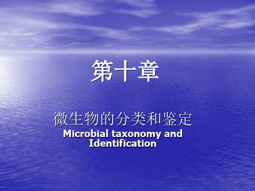 11-第十章-微生物的分类和鉴定-食品微生物学-江南大学