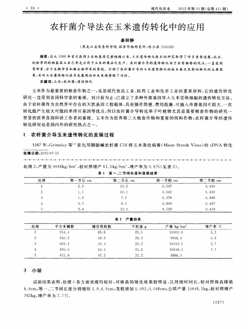 农杆菌介导法在玉米遗传转化中的应用