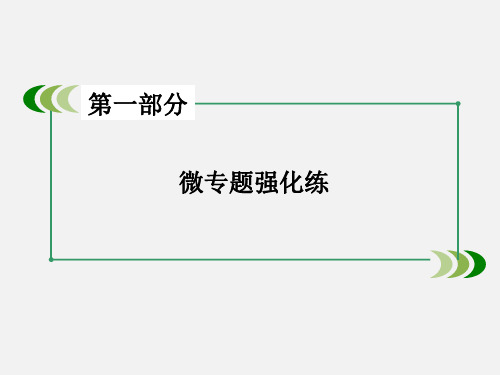 高考政治 二轮复习 专题10 为人民服务的政府