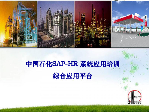 中国石化SAP-HR系统应用培训——综合应用功能平台