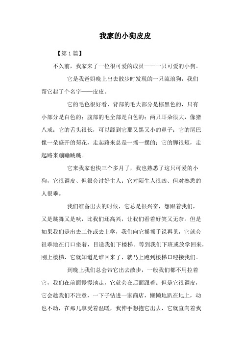 我家的小狗皮皮