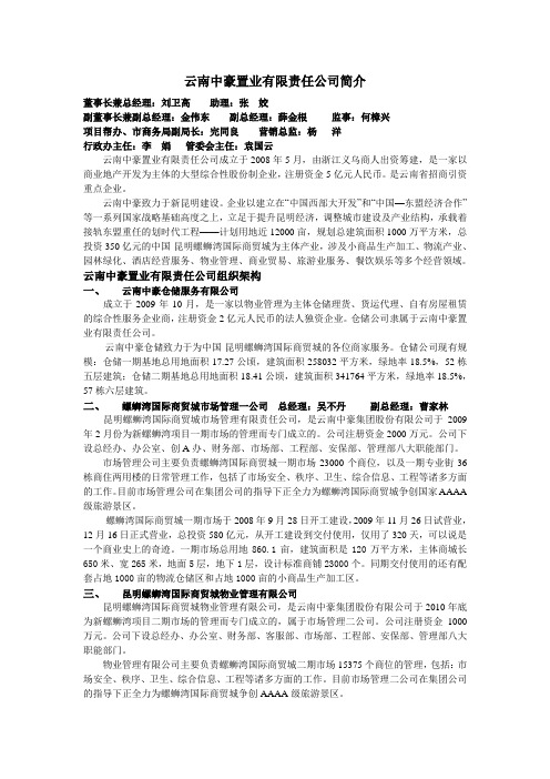 云南中豪置业有限责任公司简介