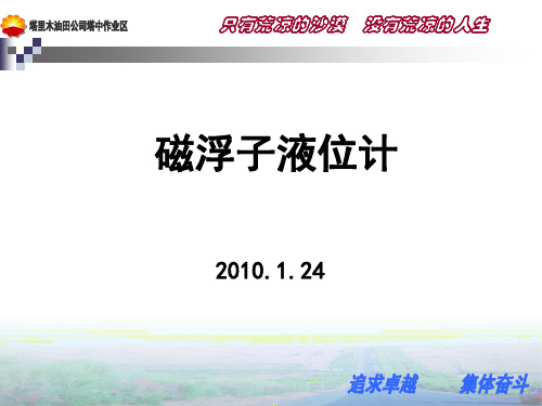 磁浮子液位计