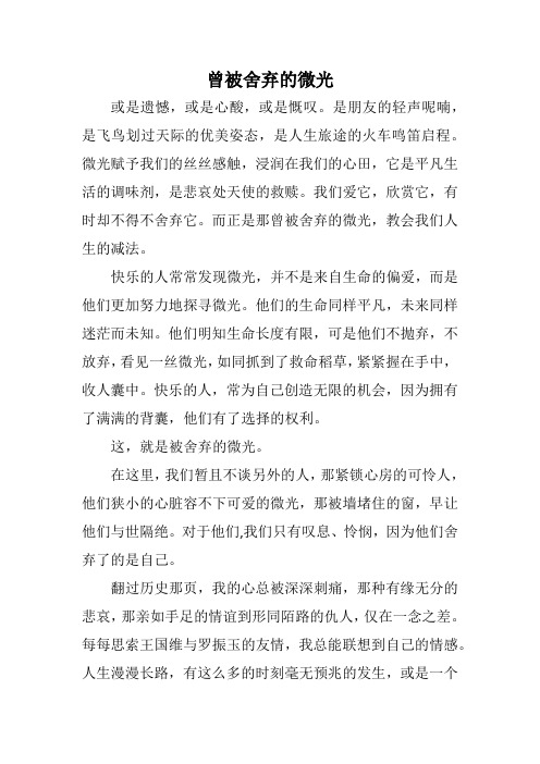 高考作文-曾被舍弃的微光
