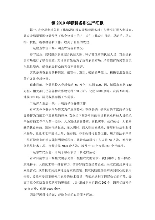 最新-镇2019年春耕备耕生产汇报1 精品