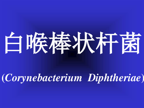 棒状白喉杆菌ppt课件