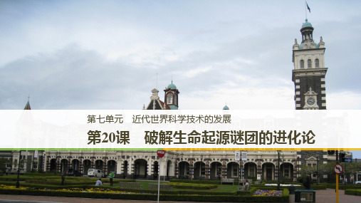 2019-2020学年历史北师大版必修三课件：第七单元 第20课 破解生命起源谜团的进化论 