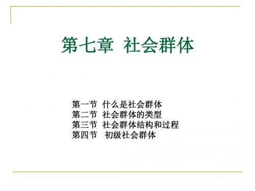 社会学   第七章  社会群体