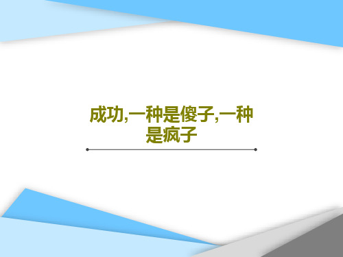 成功,一种是傻子,一种是疯子17页PPT
