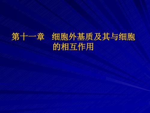 细胞外基质及其与细胞的相互作用
