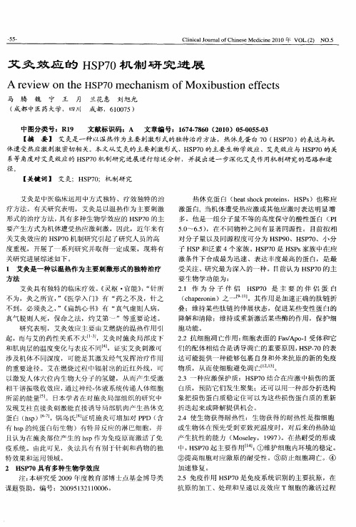 艾灸效应的HSP70机制研究进展