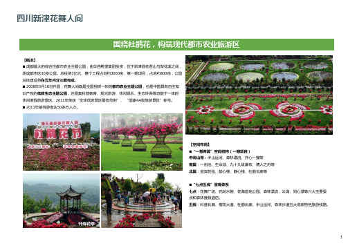 四川新津花舞人间