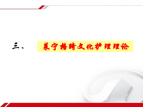 跨文化护理理论资料