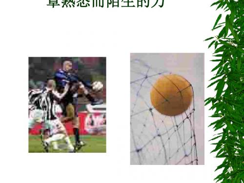 《熟悉而陌生的力》教学课件1 沪科版