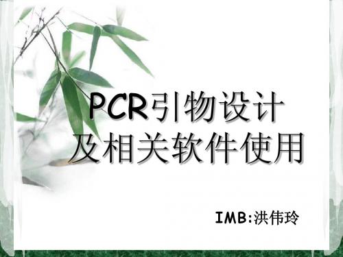 PCR引物设计及Primer5.0使用介绍