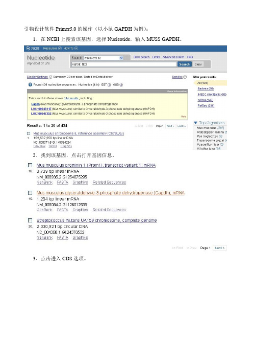 引物设计Primer5.0