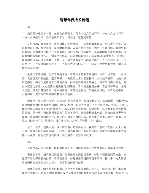 智慧伴我成长随笔
