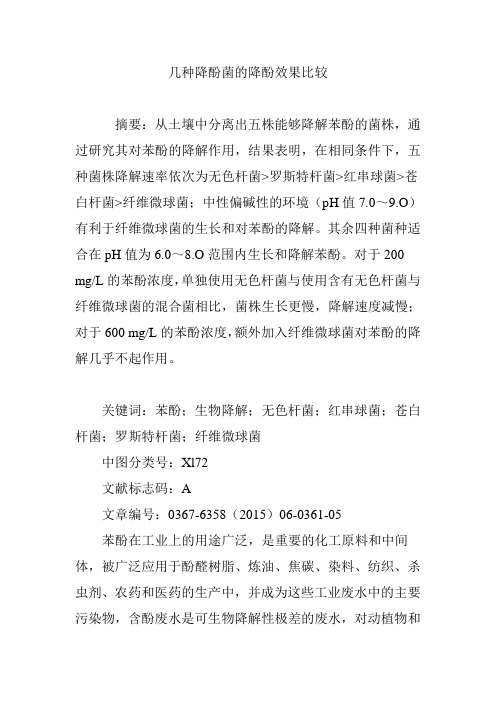 几种降酚菌的降酚效果比较