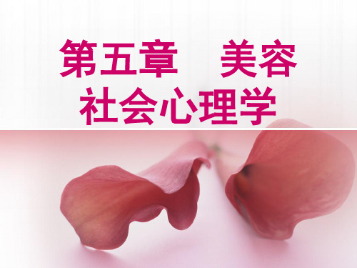 美容心理学第5章 美容社会心理学(上)