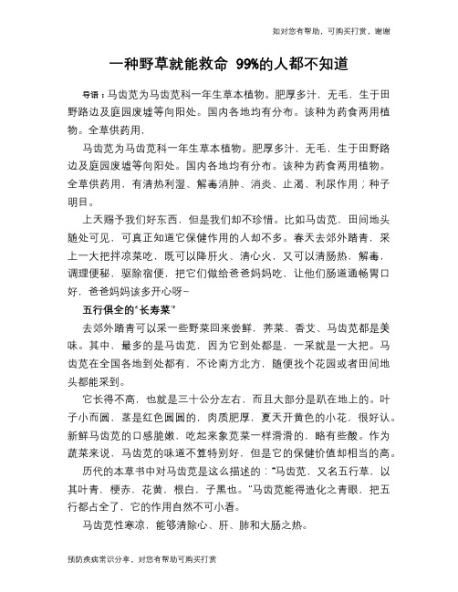一种野草就能救命 99%的人都不知道