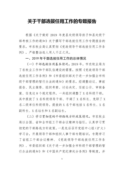 关于干部选拔任用工作的专题报告