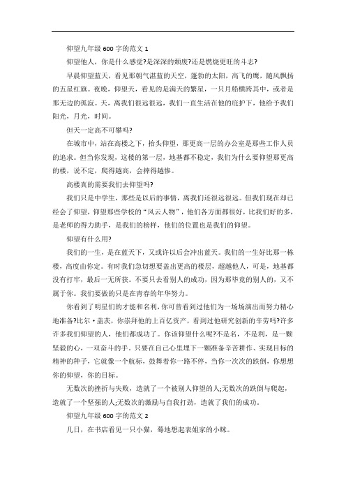 仰望九年级作文
