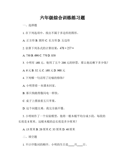 六年级综合训练练习题