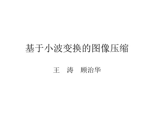 小波变换读书报告