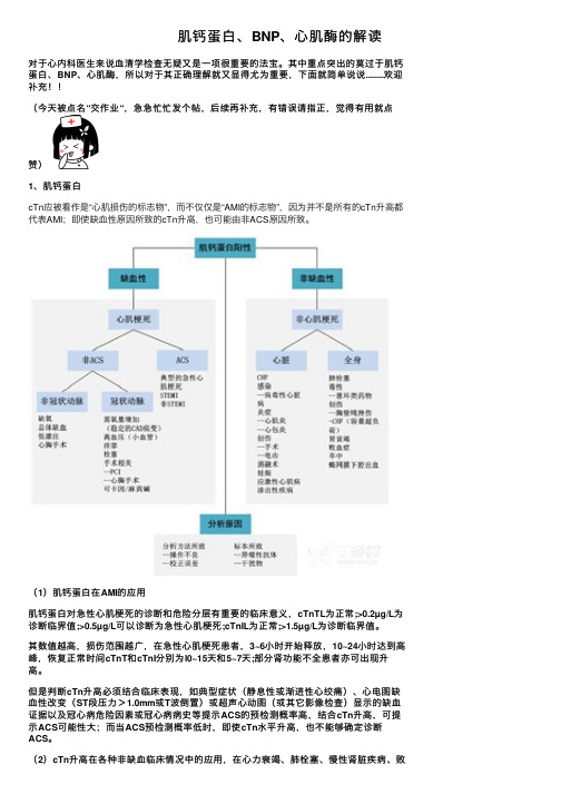 肌钙蛋白、BNP、心肌酶的解读