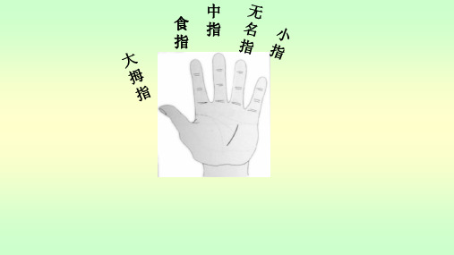 有余数的除法上课用PPT课件