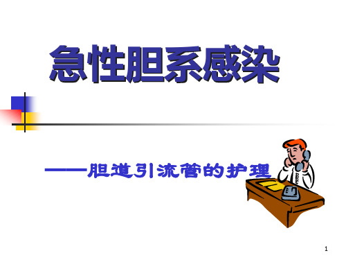 胆道引流管的护理PPT课件