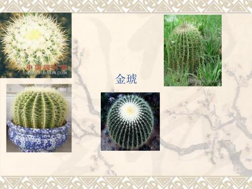 金琥